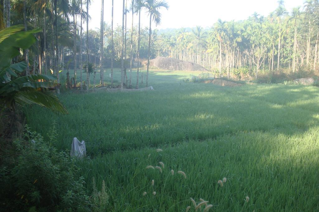 Wayanad Gate Resort 玛纳多迪 外观 照片